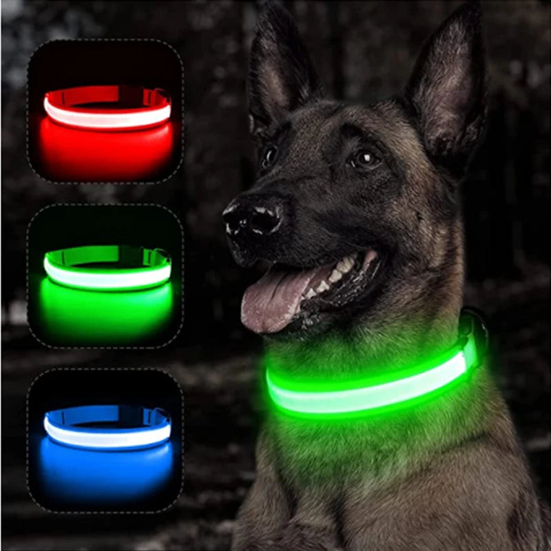 Adjustable LED Glowing Dog Collar - Rechargeable Luminous Night Safety Harness for Small Pets