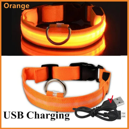 Adjustable LED Glowing Dog Collar - Rechargeable Luminous Night Safety Harness for Small Pets