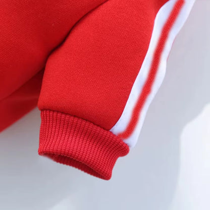 Cozy Winter Hoodies for Dogs - Fleece Sweatshirts for Small, Medium, and Large Breeds