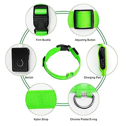 Adjustable LED Glowing Dog Collar - Rechargeable Luminous Night Safety Harness for Small Pets