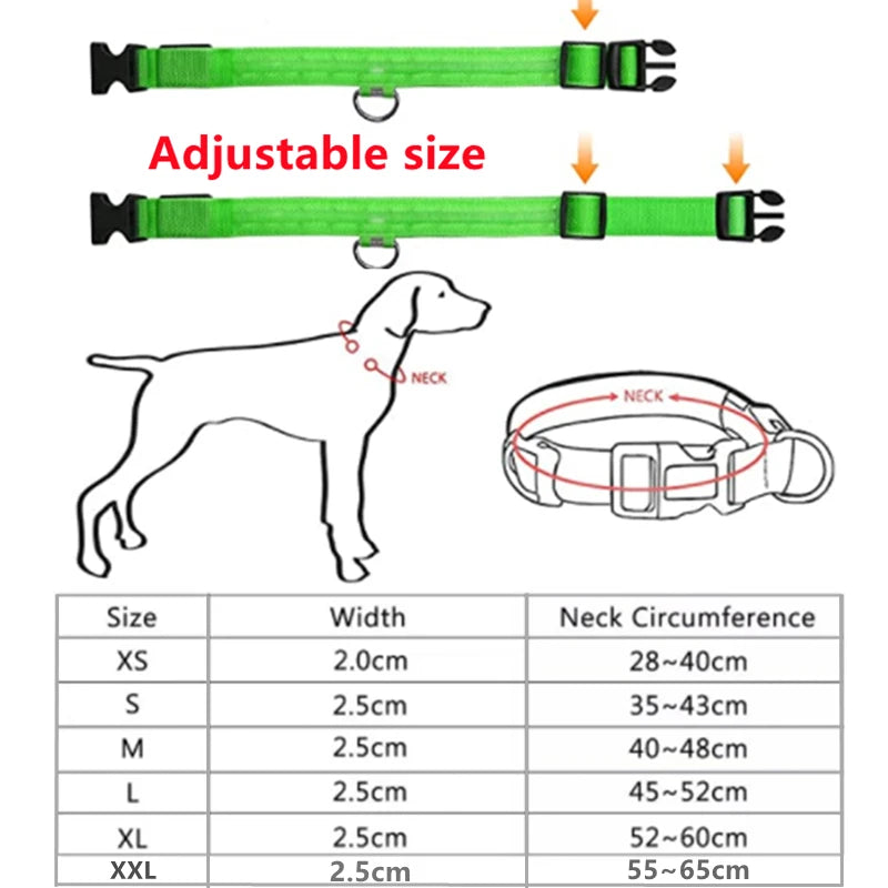 Adjustable LED Glowing Dog Collar - Rechargeable Luminous Night Safety Harness for Small Pets
