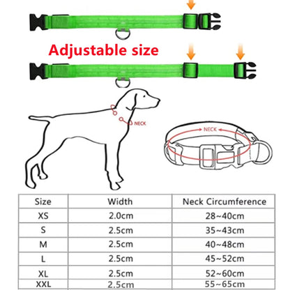 Adjustable LED Glowing Dog Collar - Rechargeable Luminous Night Safety Harness for Small Pets