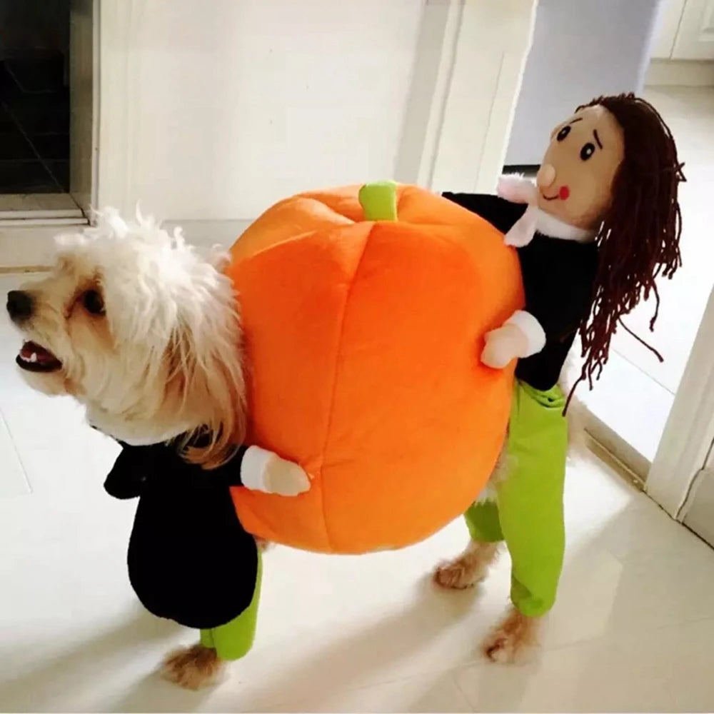 Hilarious Halloween & Christmas Dog Costumes - Fun Cosplay Outfits for Pets!
