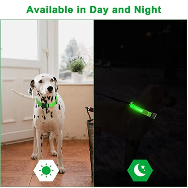 Adjustable LED Glowing Dog Collar - Rechargeable Luminous Night Safety Harness for Small Pets