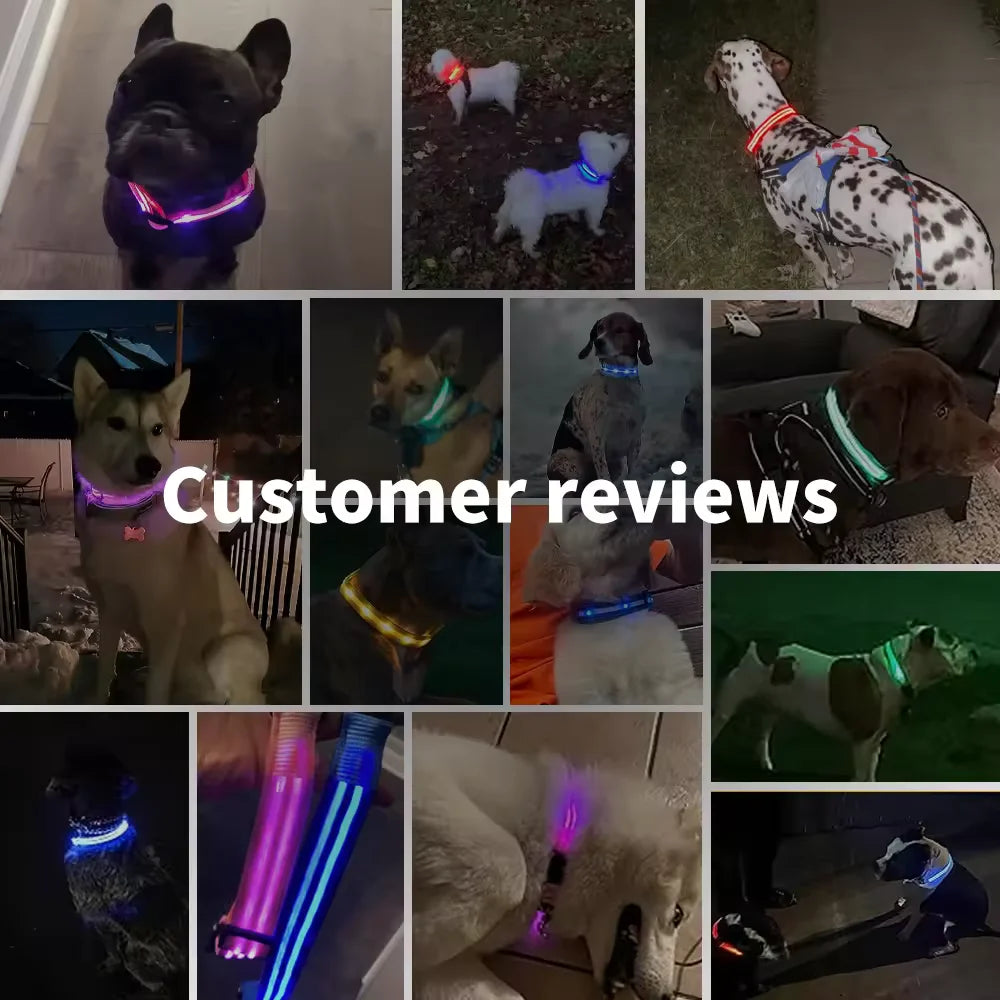 Adjustable LED Glowing Dog Collar - Rechargeable Luminous Night Safety Harness for Small Pets