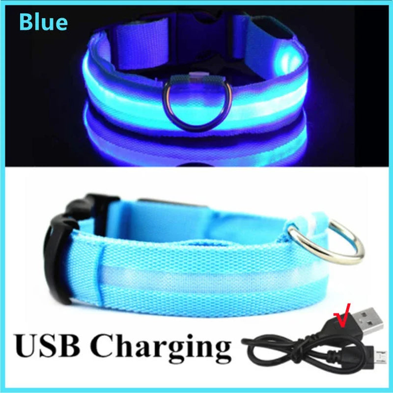 Adjustable LED Glowing Dog Collar - Rechargeable Luminous Night Safety Harness for Small Pets