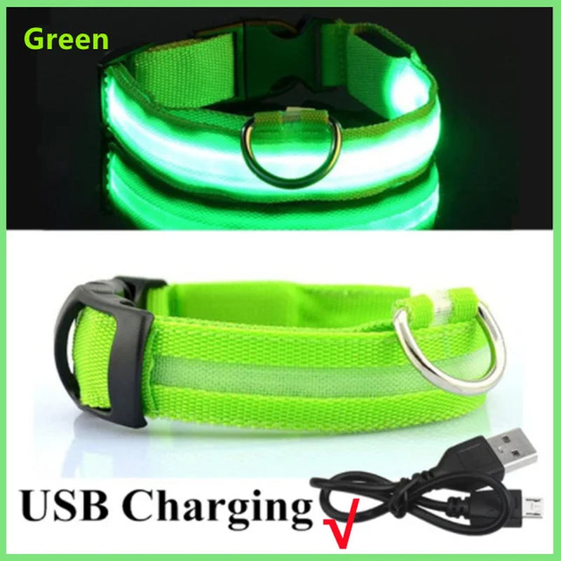 Adjustable LED Glowing Dog Collar - Rechargeable Luminous Night Safety Harness for Small Pets