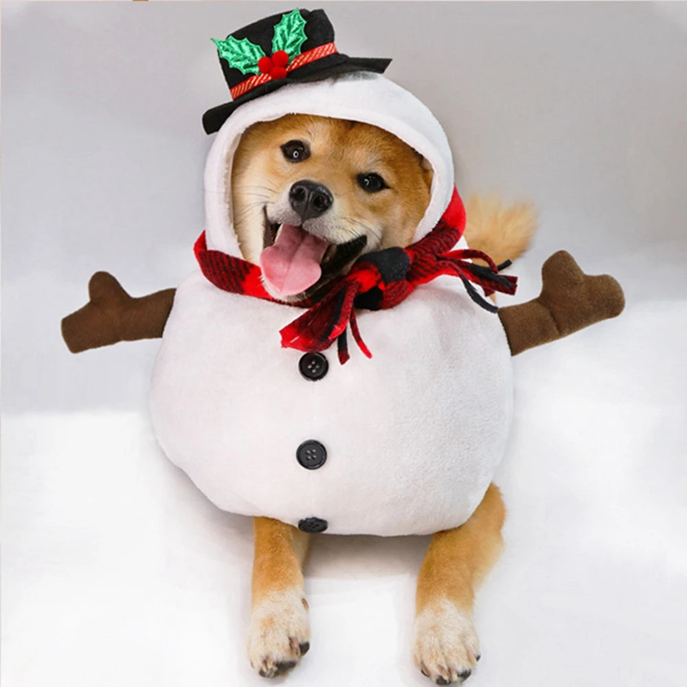Hilarious Halloween & Christmas Dog Costumes - Fun Cosplay Outfits for Pets!